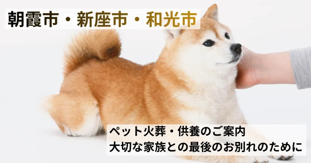 柴犬の写真にテキスト：朝霞市・新座市・和光市のペット火葬・供養のご案内|大切な家族との最後のお別れのために